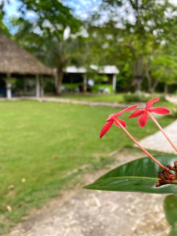 Eco Hotel Bosque Encantado Исла Гранде Екстериор снимка